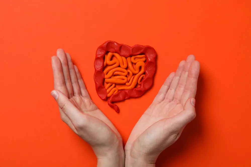 Gut & Immune